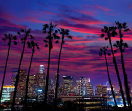 los-angeles-why-choose-img